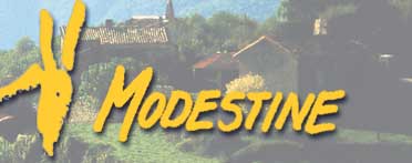 Was ist Modestine?